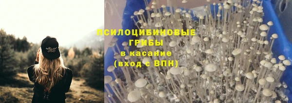 гидропоника Гусиноозёрск