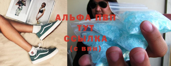 дживик Гусев