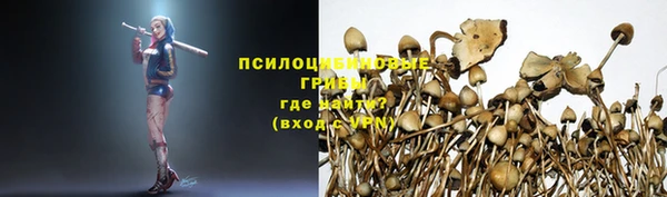 дживик Гусев