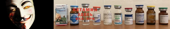 гидропоника Гусиноозёрск
