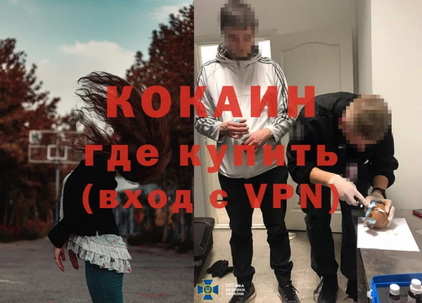 дживик Гусев