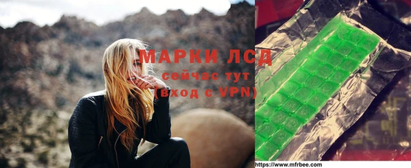 гидропоника Гусиноозёрск