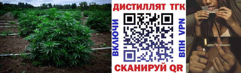 Дистиллят ТГК Wax Юрга
