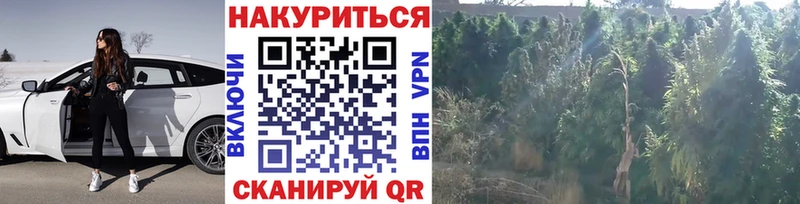 Каннабис SATIVA & INDICA  darknet официальный сайт  Юрга 